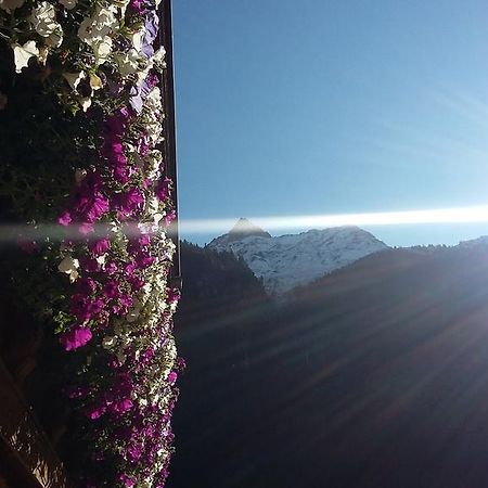Appartamento S' Ludwign Haus Sankt Leonhard im Pitztal Esterno foto