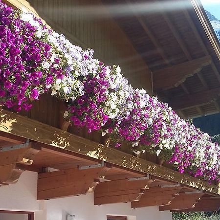 Appartamento S' Ludwign Haus Sankt Leonhard im Pitztal Esterno foto
