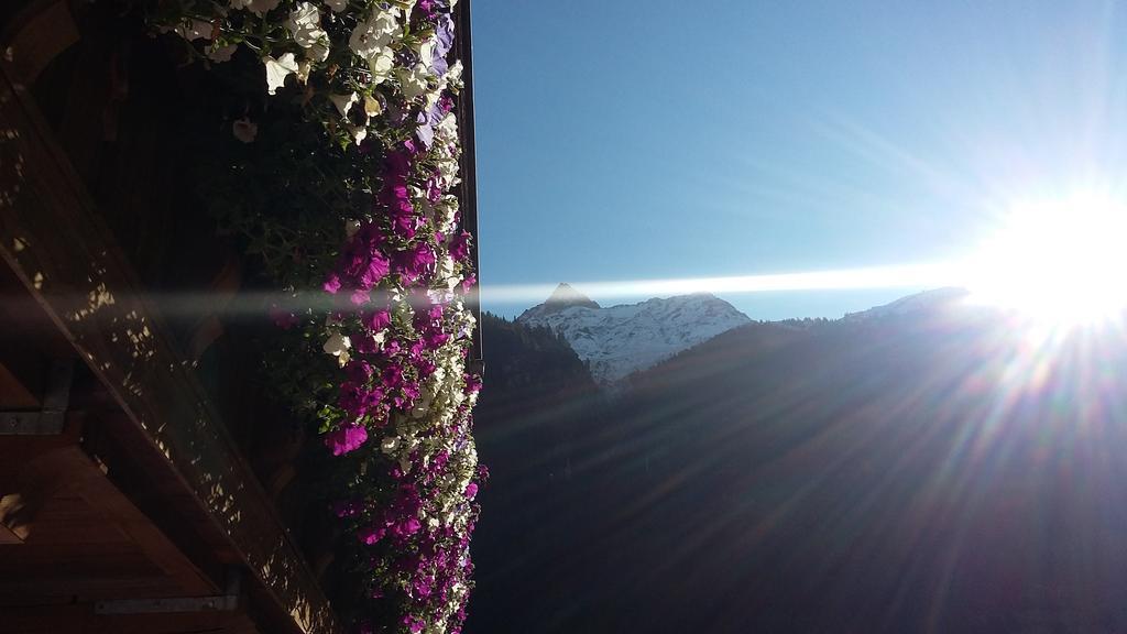 Appartamento S' Ludwign Haus Sankt Leonhard im Pitztal Esterno foto